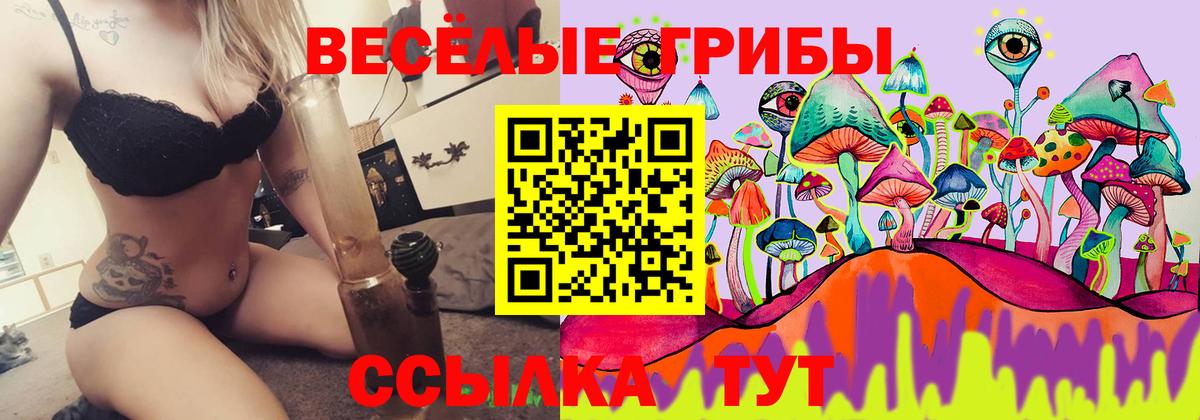 Псилоцибиновые грибы Psilocybine cubensis  Вход с VPN  Шарыпово 
