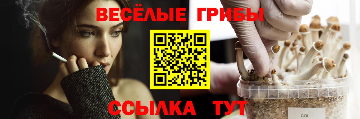 Галлюциногенные грибы мицелий Шарыпово
